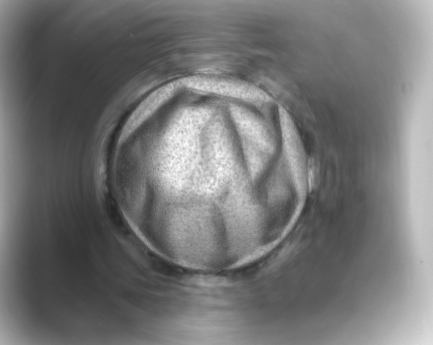 X0000088750339200706212118