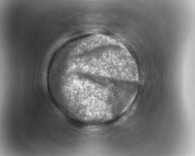 X0000088750341200706212118