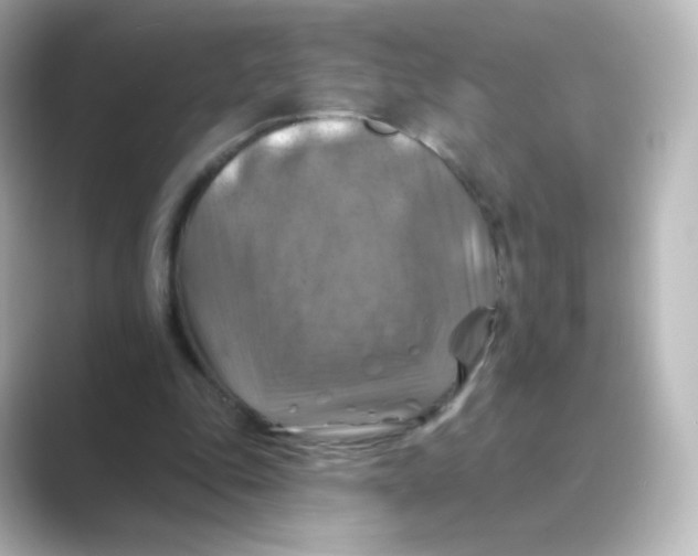 X0000088750343200706212118