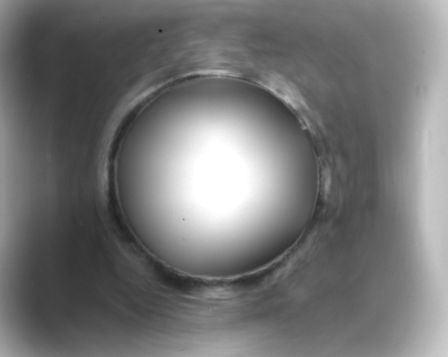 X0000088750344200706212118