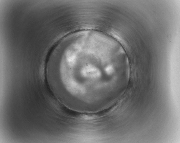 X0000088750346200706212118