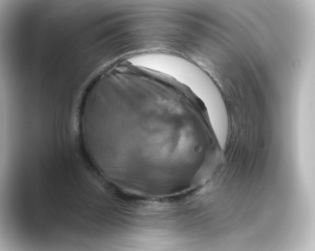 X0000088750347200706212119