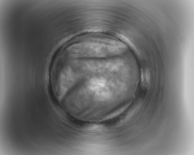 X0000088750348200706212119