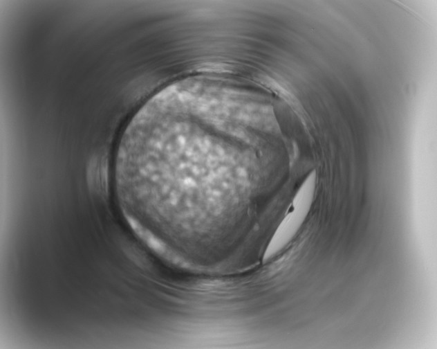 X0000088750349200706212119