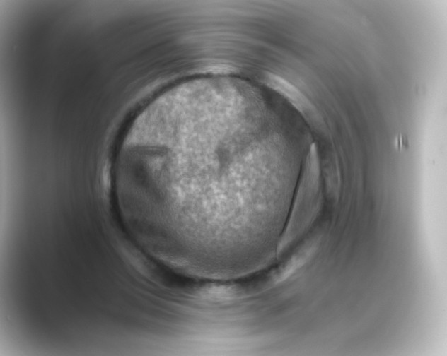 X0000088750350200706212119