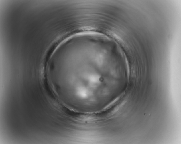 X0000088750351200706212119