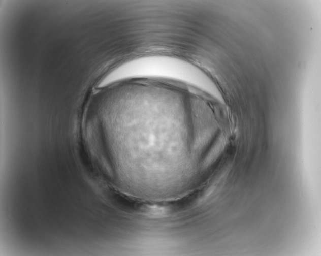 X0000088750352200706212119