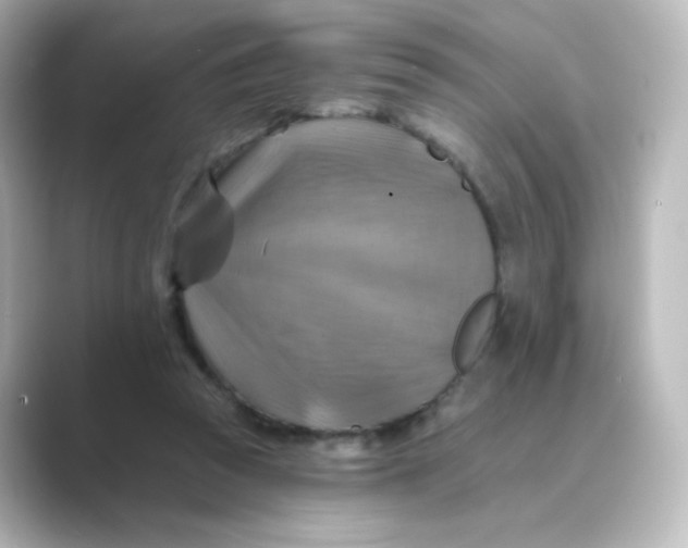 X0000088750353200706212119