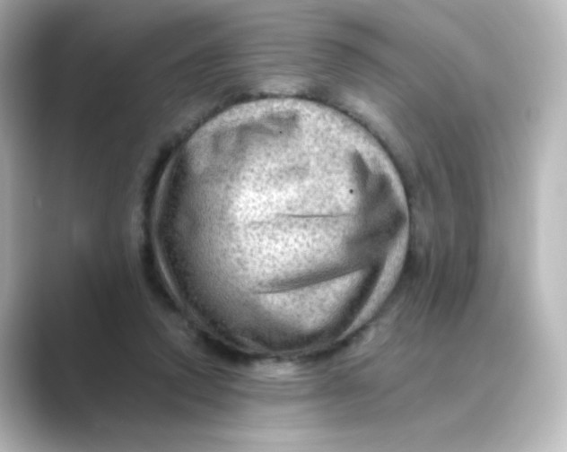 X0000088750354200706212119