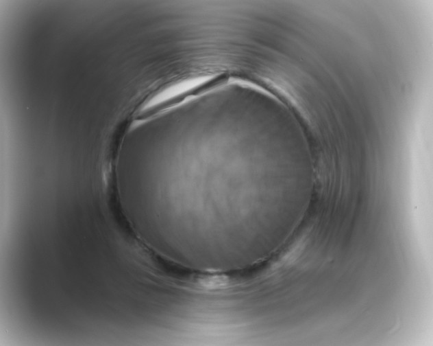 X0000088750355200706212119