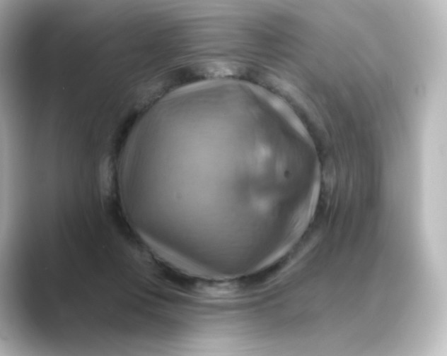 X0000088750359200706212119