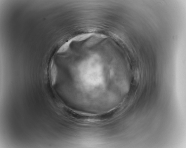 X0000088750360200706212119