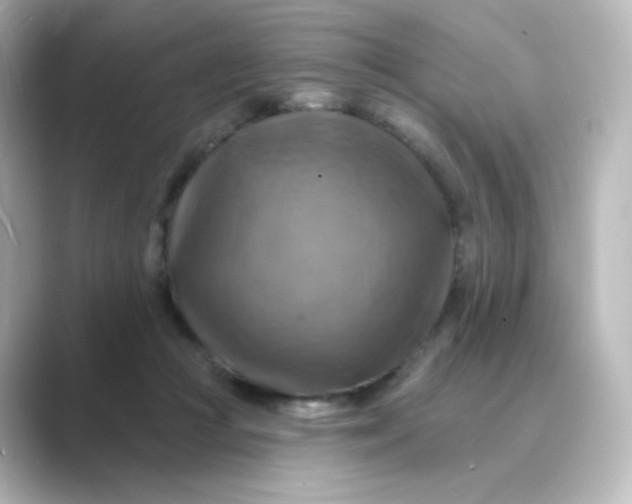 X0000088750361200706212119