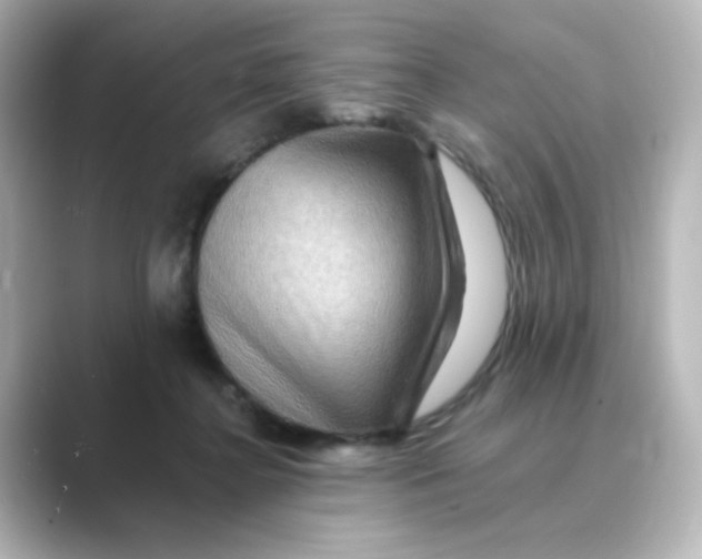 X0000088750364200706212119