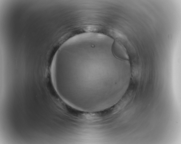 X0000088750367200706212119