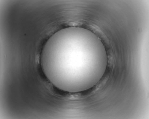 X0000088750368200706212119