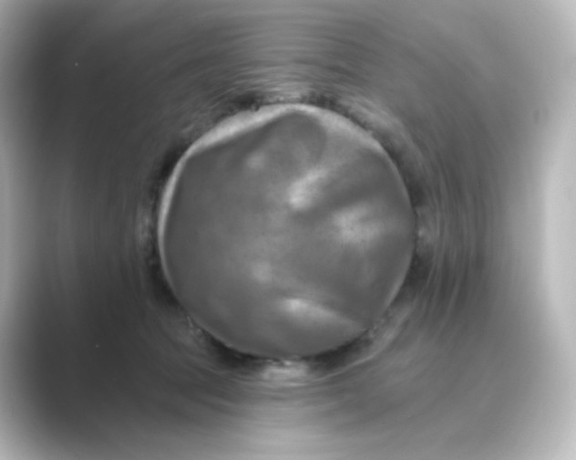 X0000088750369200706212119