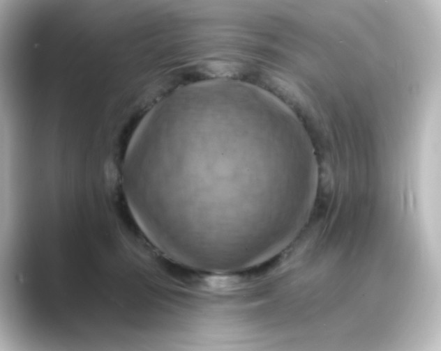 X0000088750371200706212119