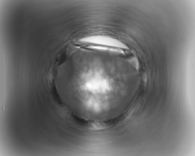 X0000088750372200706212119