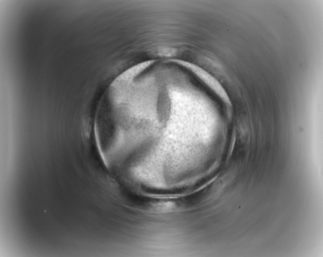 X0000088750374200706212119