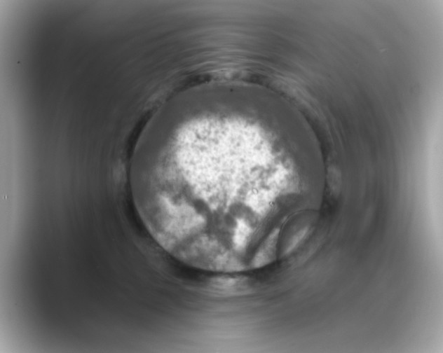 X0000088750375200706212119