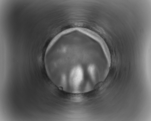 X0000088750377200706212119