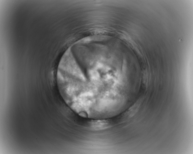 X0000088750378200706212119