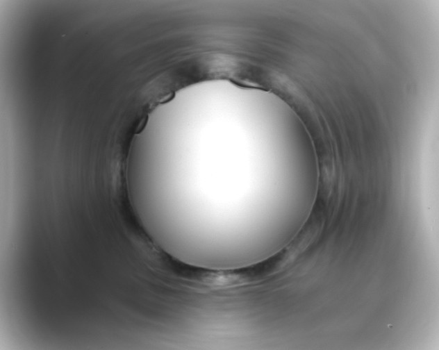 X0000088750379200706212119