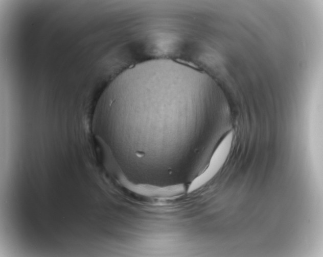 X0000088750380200706212119