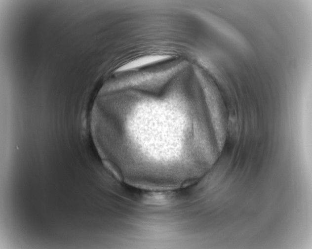 X0000088750381200706212119