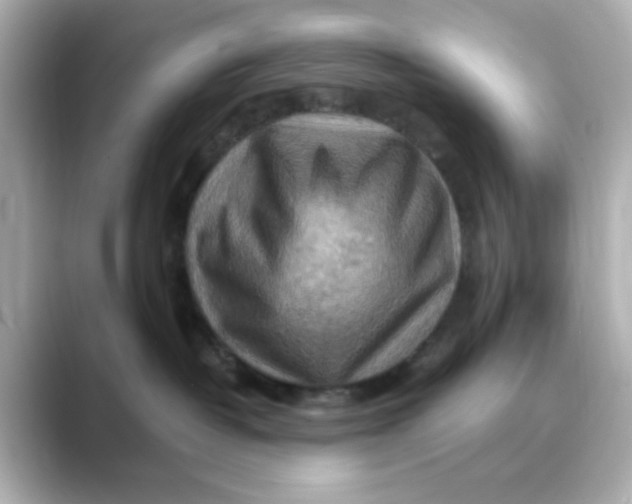 X0000088750382200706212119