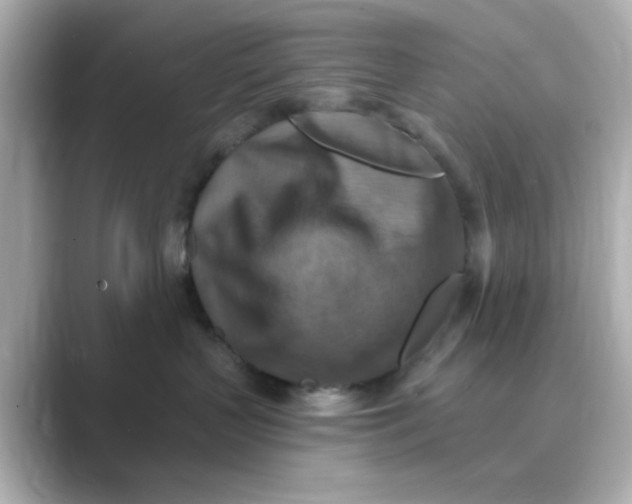 X0000088750383200706212119