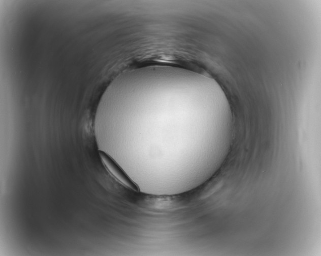 X0000088750384200706212119