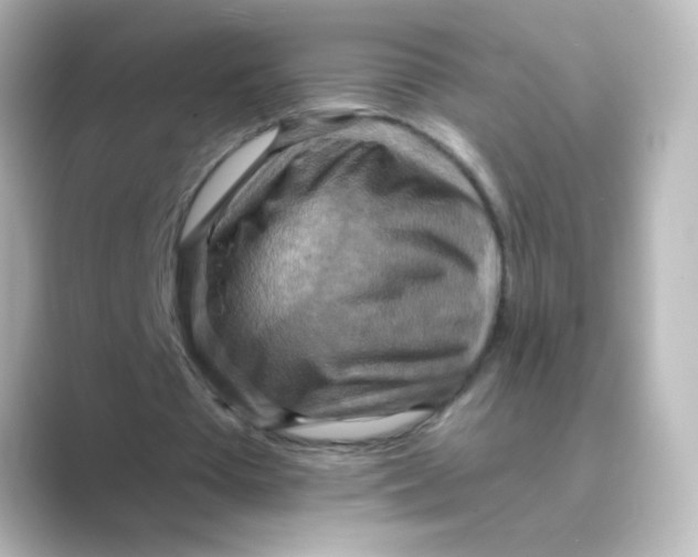 X0000088750385200706212118