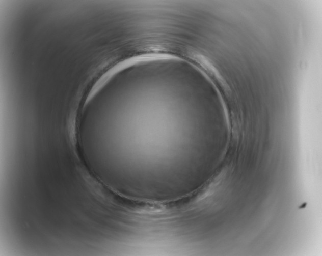 X0000088750386200706212118