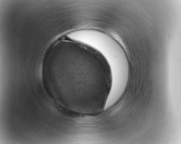 X0000088750387200706212118