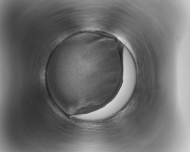 X0000088750389200706212118