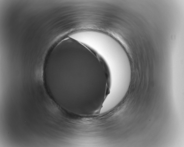 X0000088750391200706212118