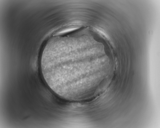 X0000088750392200706212118