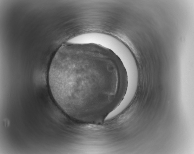 X0000088750393200706212118