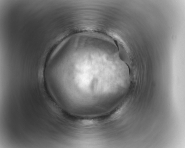 X0000088750394200706212118