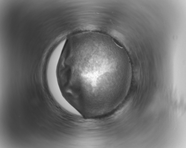 X0000088750395200706212118