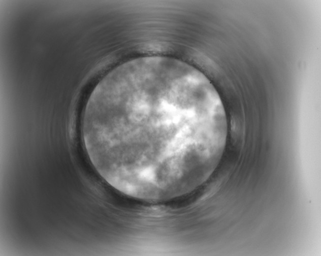 X0000088750396200706212118