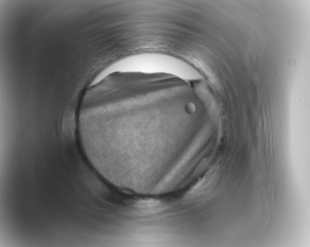 X0000088750397200706212118