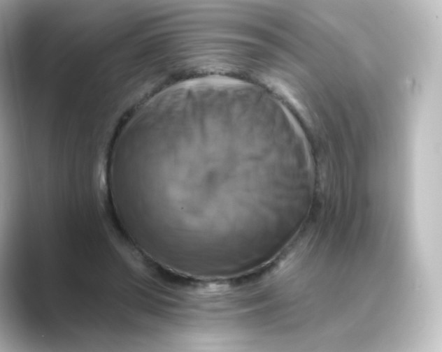 X0000088750398200706212118