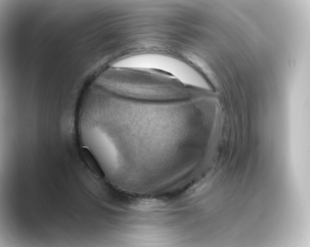 X0000088750399200706212118