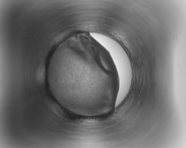 X0000088750400200706212118