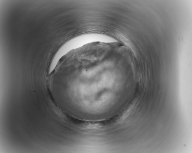 X0000088750401200706212118