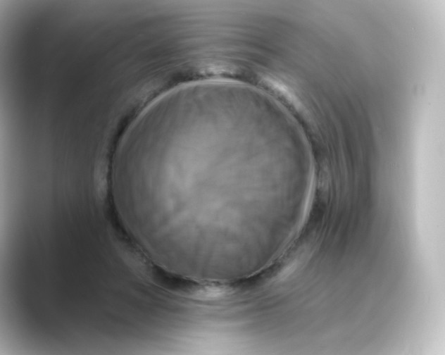 X0000088750402200706212118