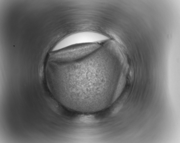 X0000088750403200706212118